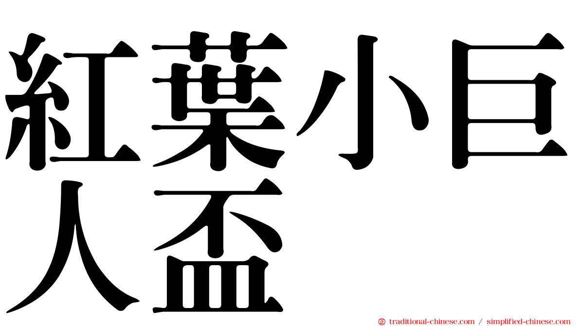 紅葉小巨人盃