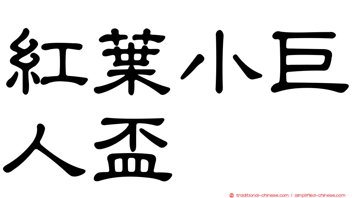 紅葉小巨人盃