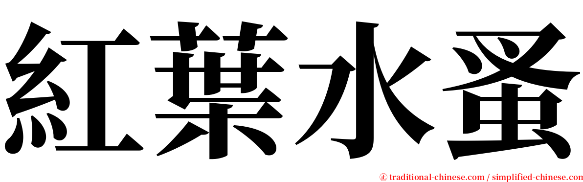 紅葉水蚤 serif font