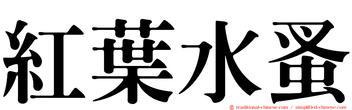 紅葉水蚤