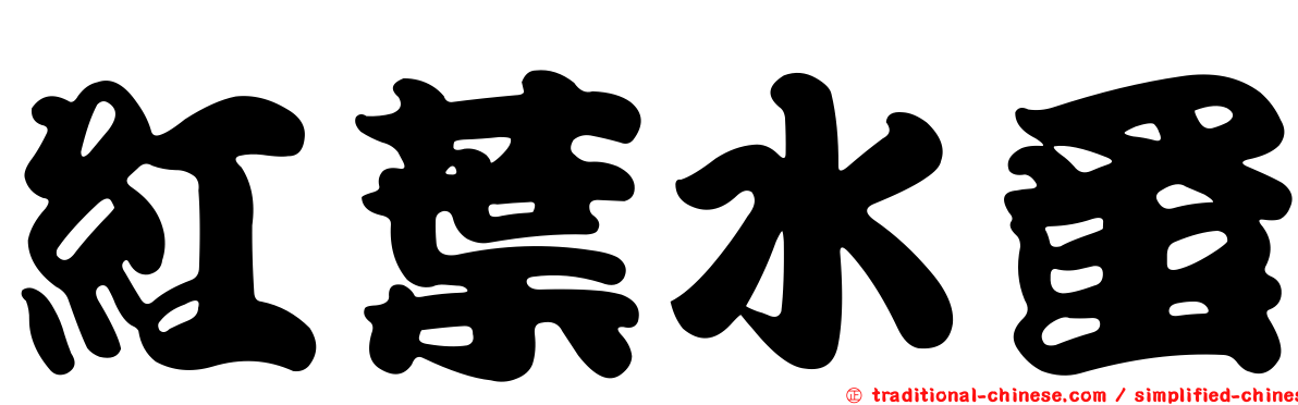 紅葉水蚤
