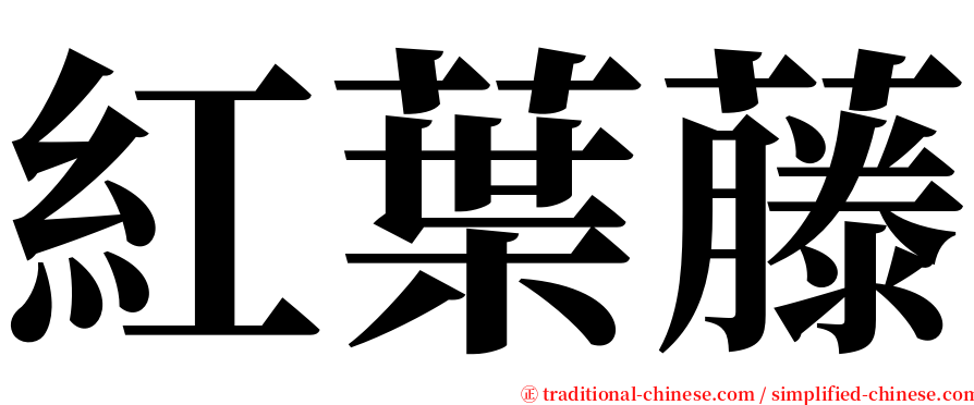 紅葉藤 serif font