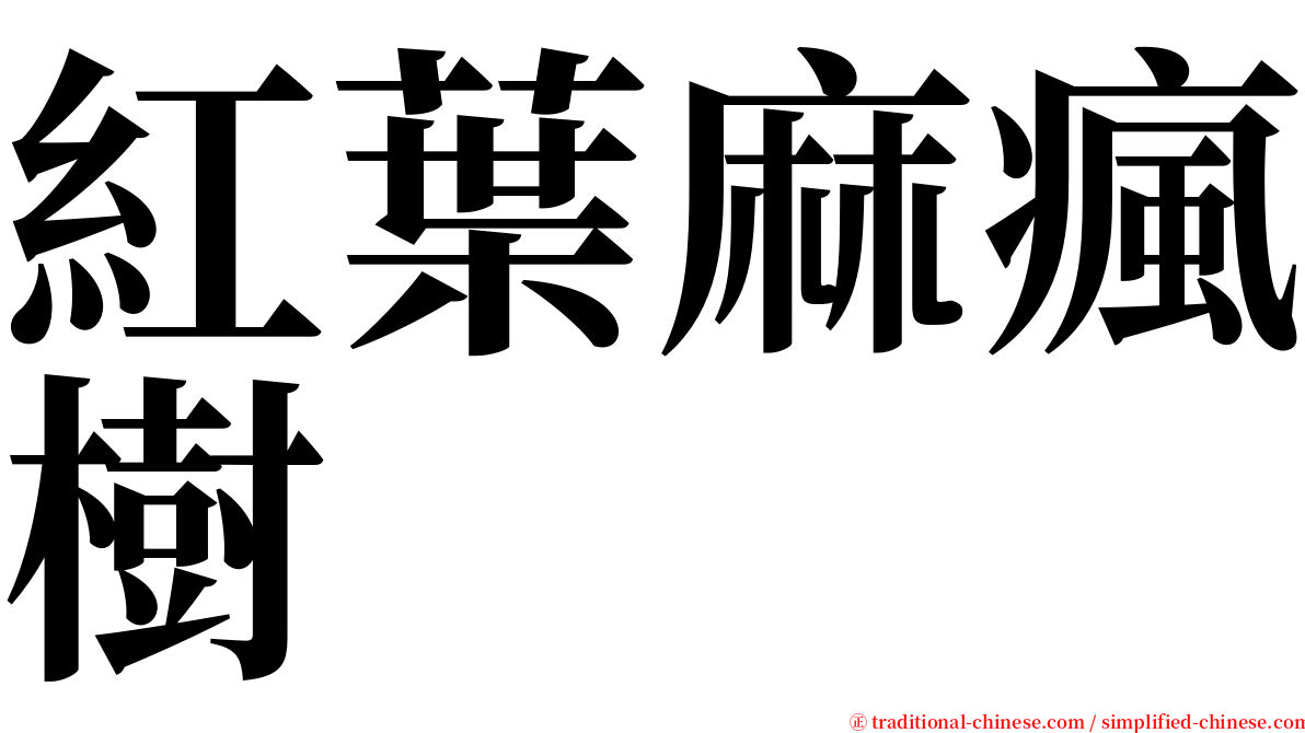 紅葉麻瘋樹 serif font