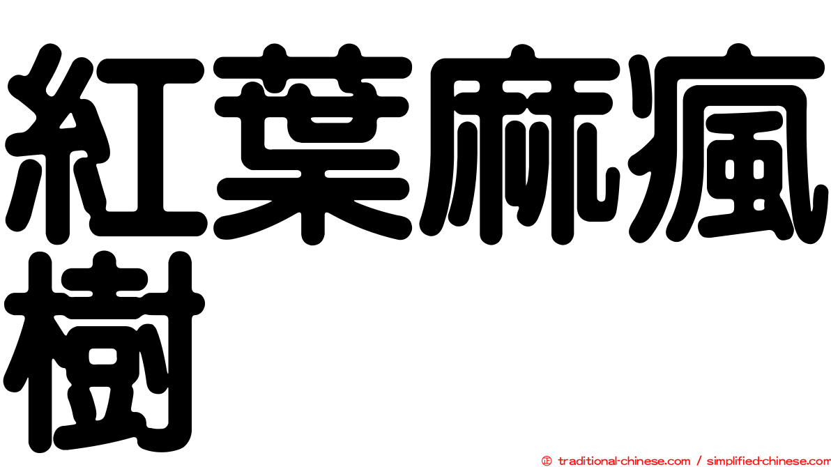 紅葉麻瘋樹