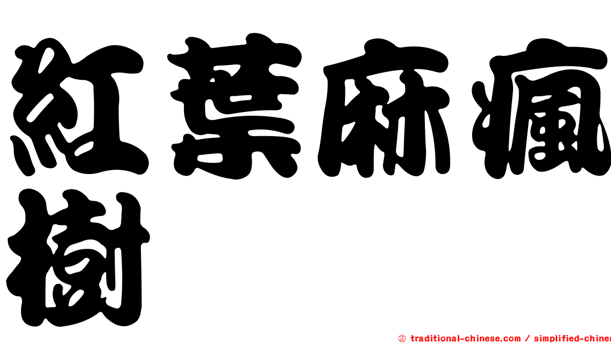 紅葉麻瘋樹