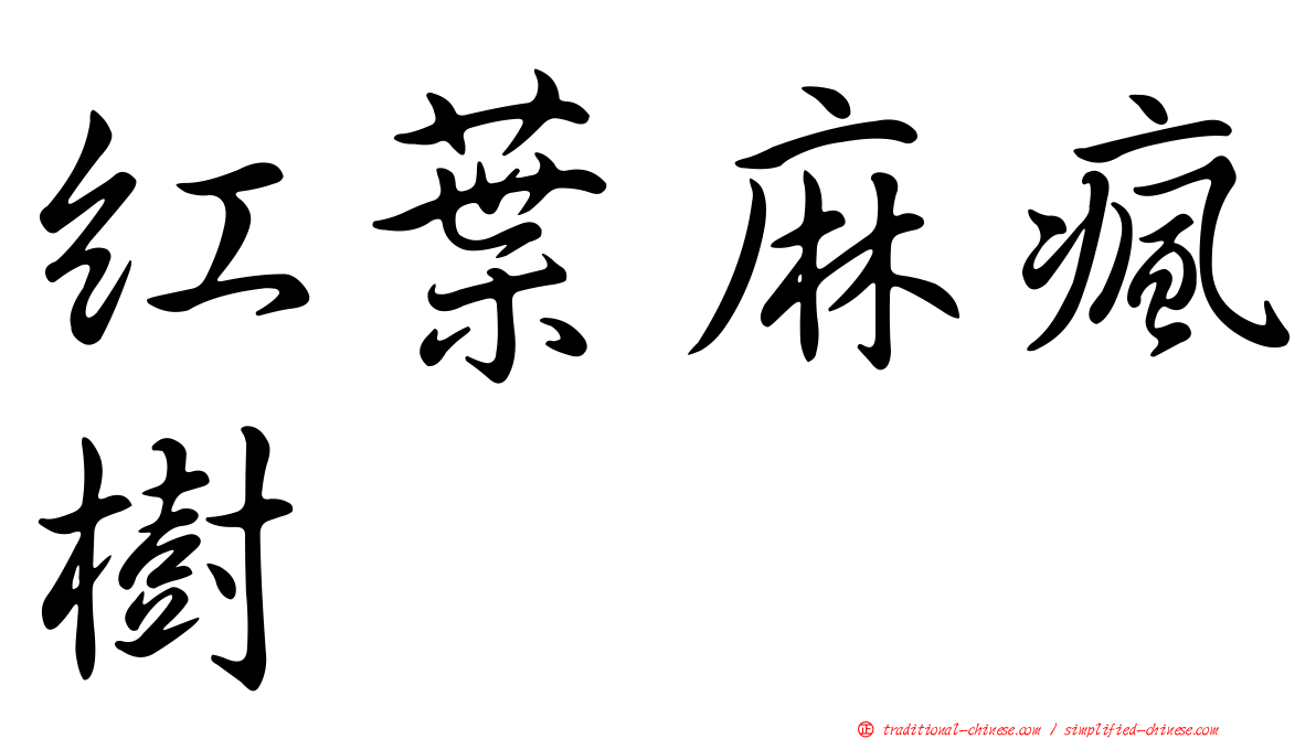 紅葉麻瘋樹