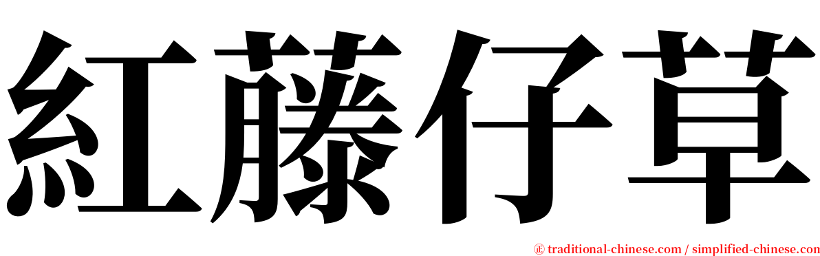 紅藤仔草 serif font