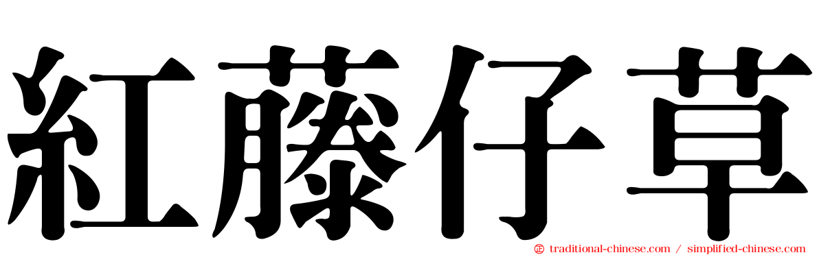 紅藤仔草