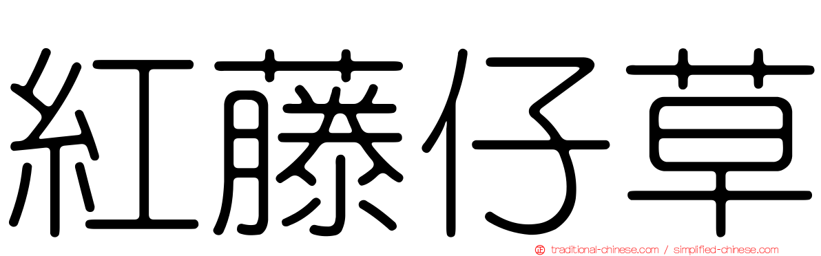 紅藤仔草