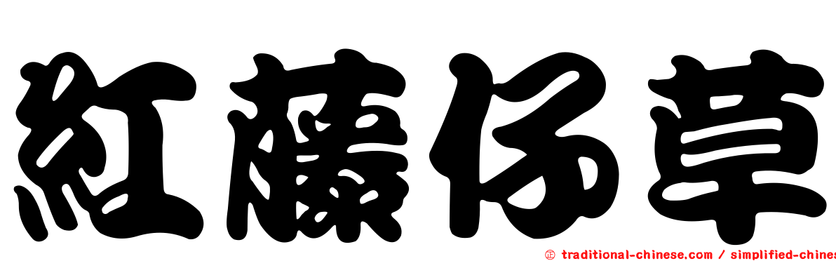 紅藤仔草