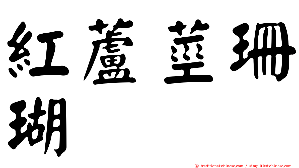 紅蘆莖珊瑚