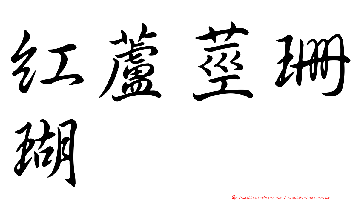 紅蘆莖珊瑚