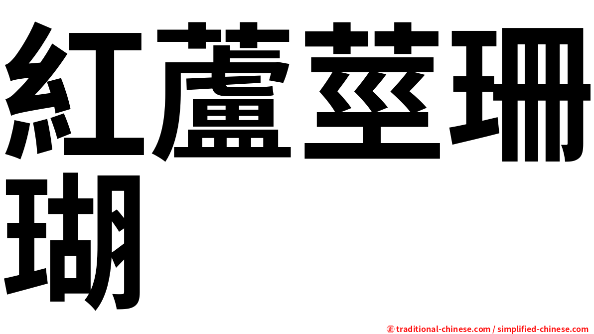 紅蘆莖珊瑚