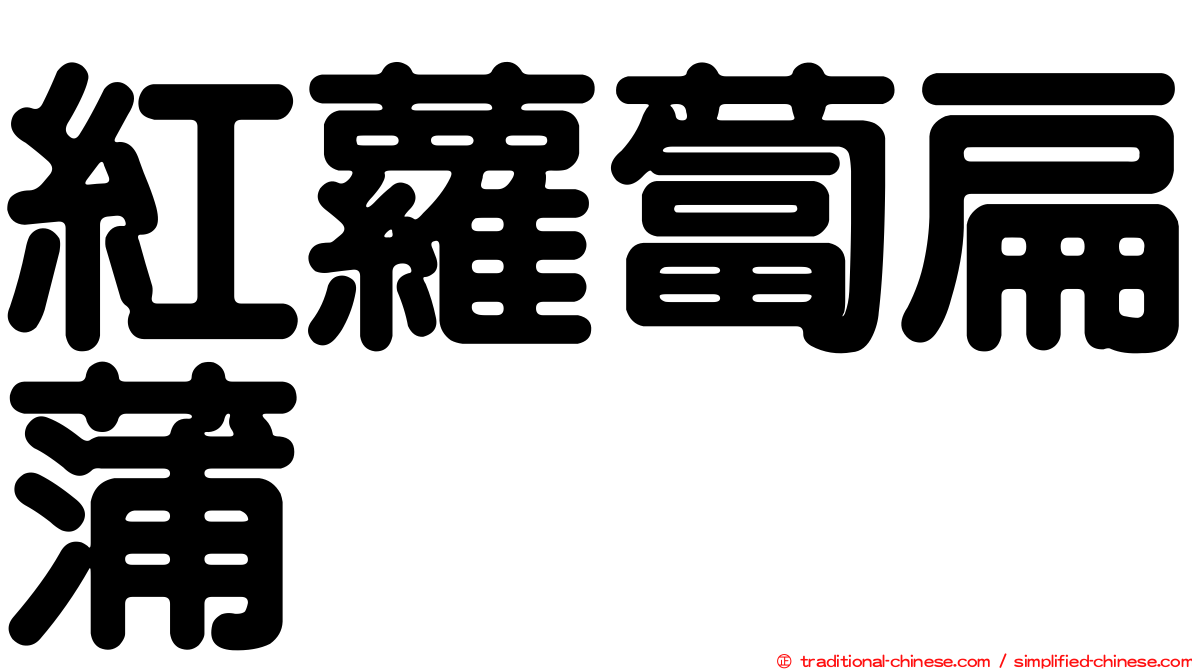 紅蘿蔔扁蒲