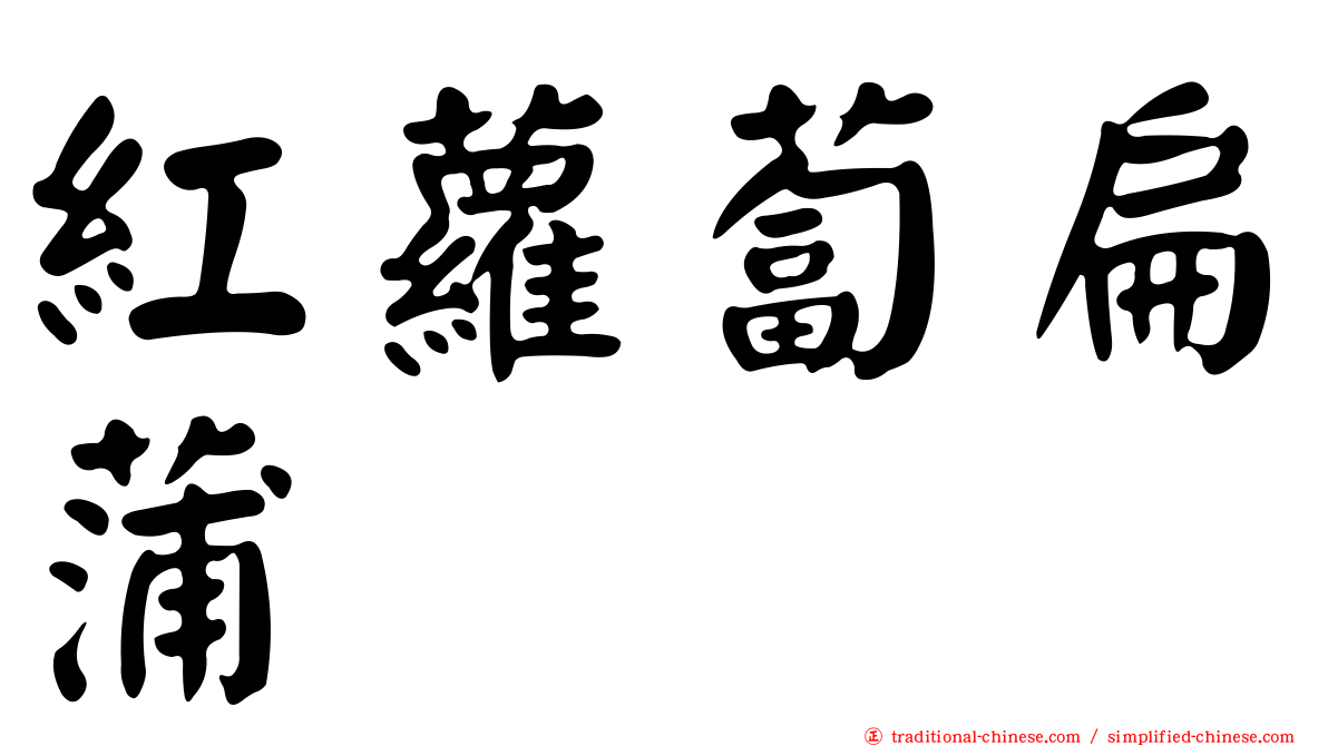 紅蘿蔔扁蒲