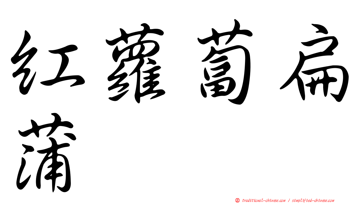 紅蘿蔔扁蒲