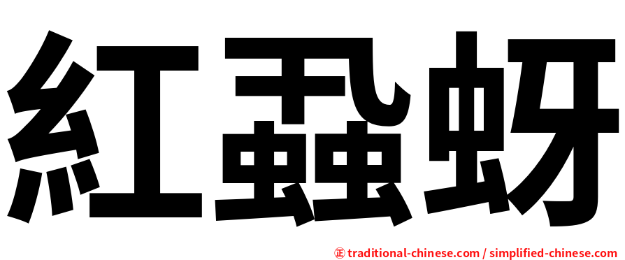 紅蝨蚜