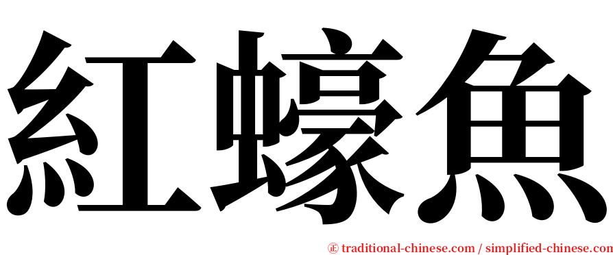 紅蠔魚 serif font