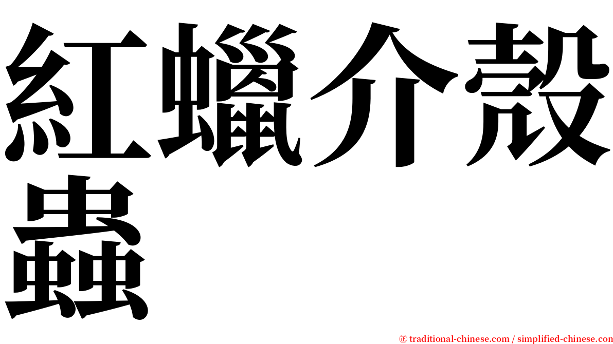 紅蠟介殼蟲 serif font