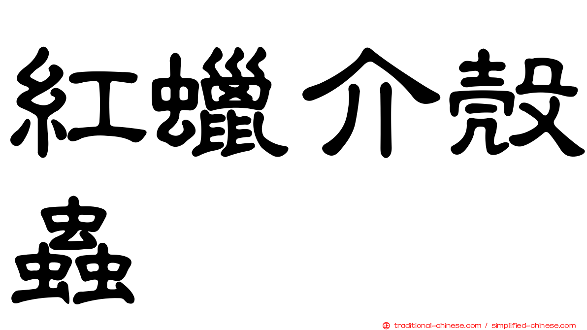 紅蠟介殼蟲