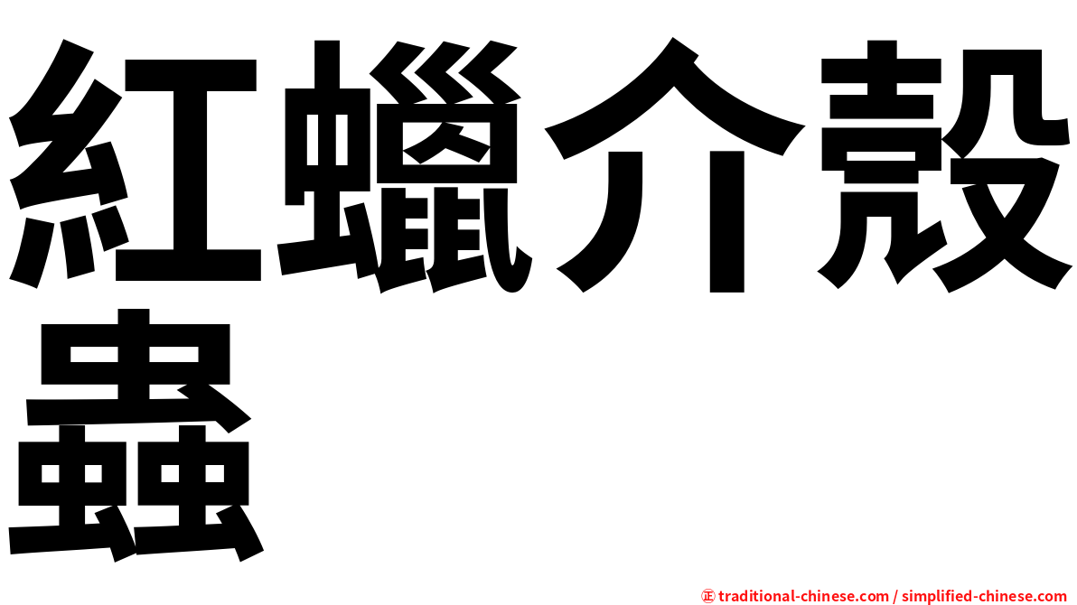 紅蠟介殼蟲