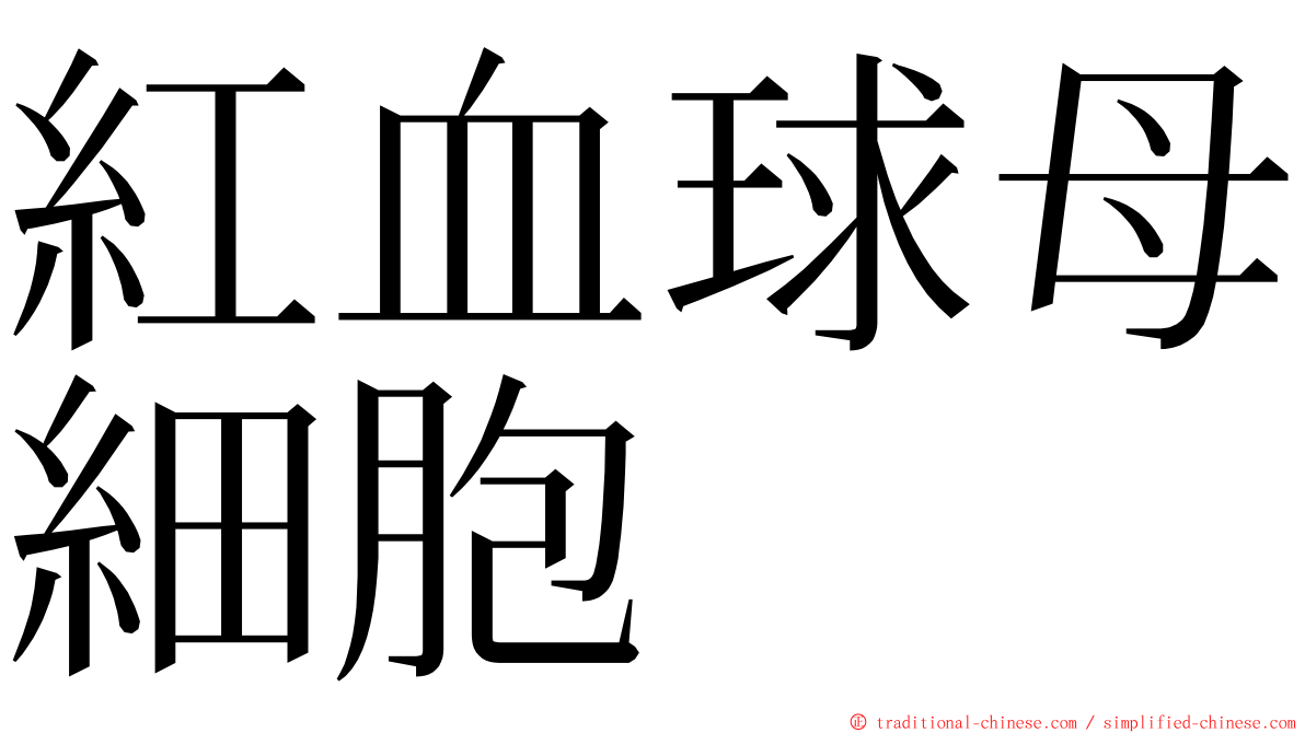 紅血球母細胞 ming font