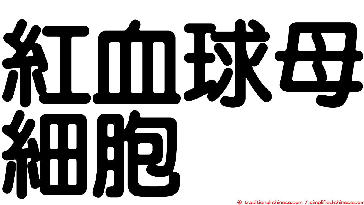 紅血球母細胞