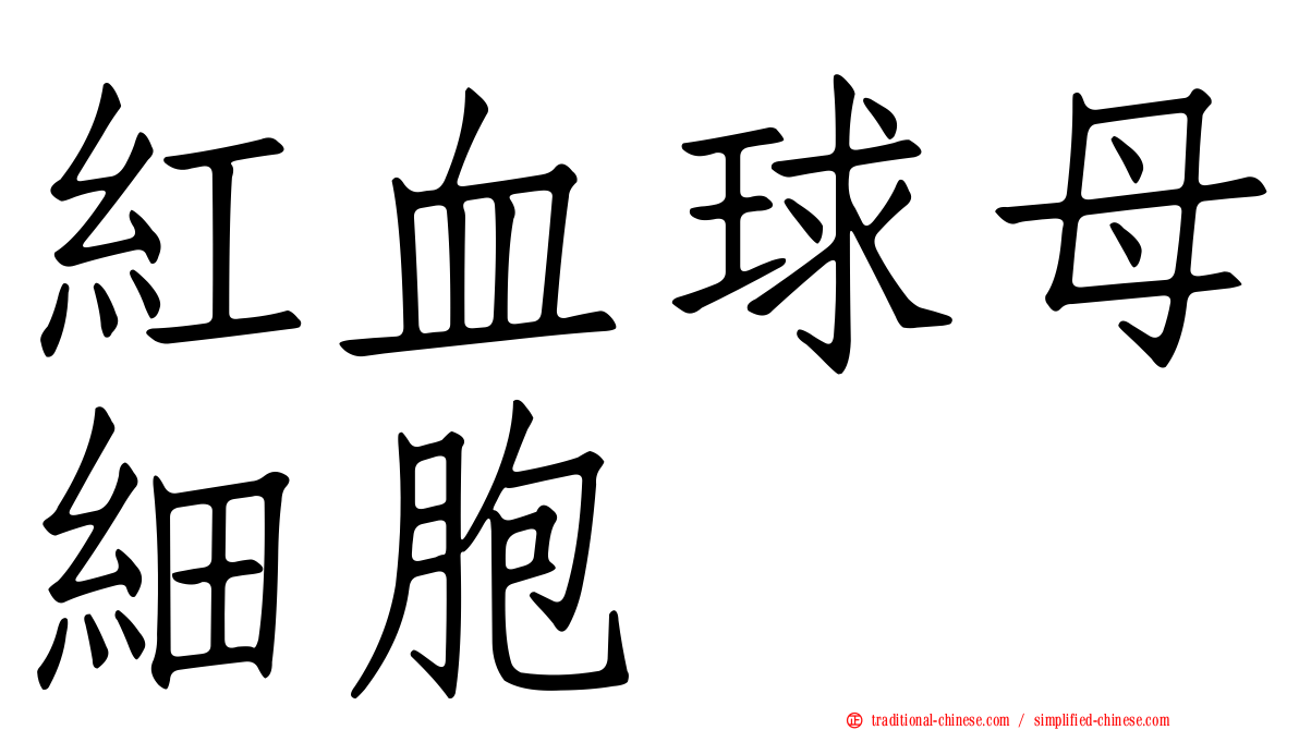 紅血球母細胞