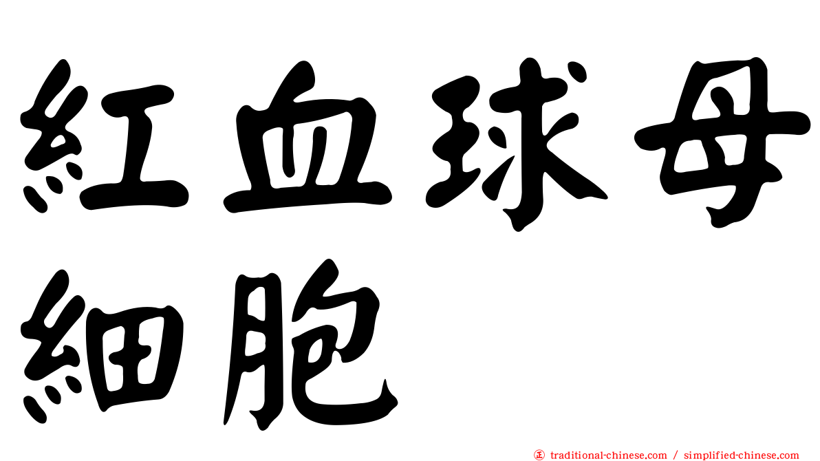 紅血球母細胞