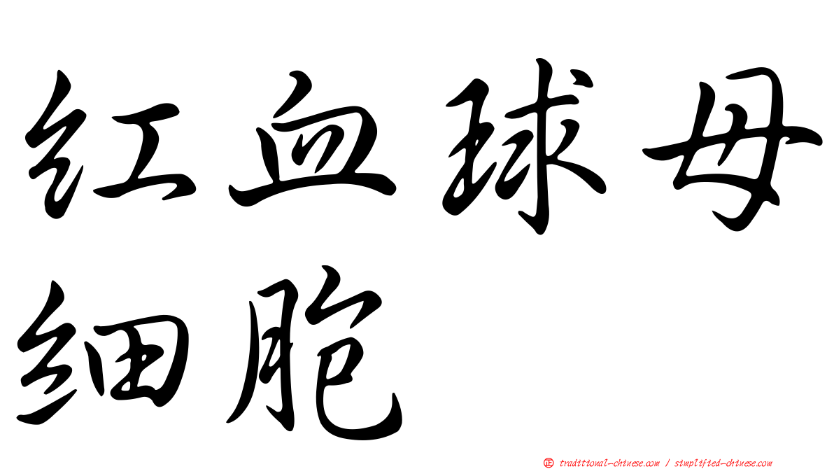 紅血球母細胞