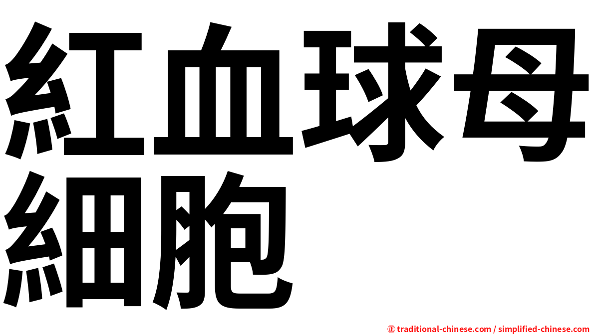 紅血球母細胞