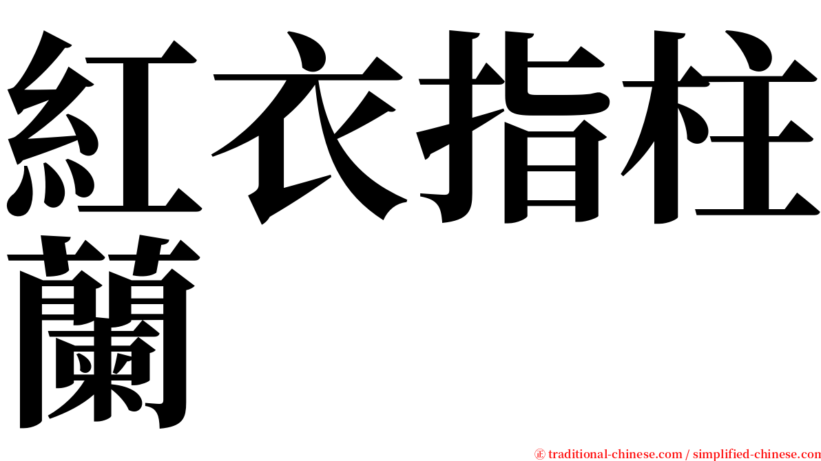 紅衣指柱蘭 serif font