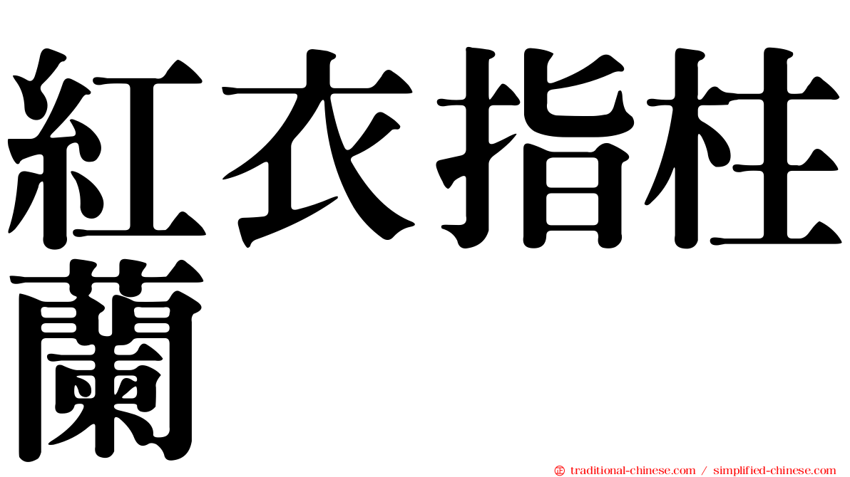 紅衣指柱蘭