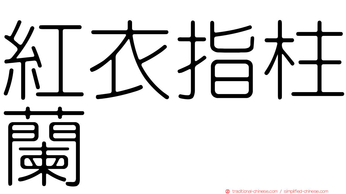 紅衣指柱蘭