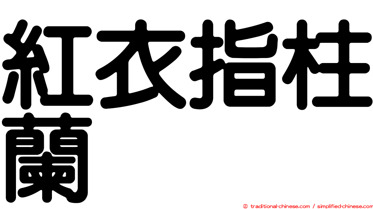 紅衣指柱蘭