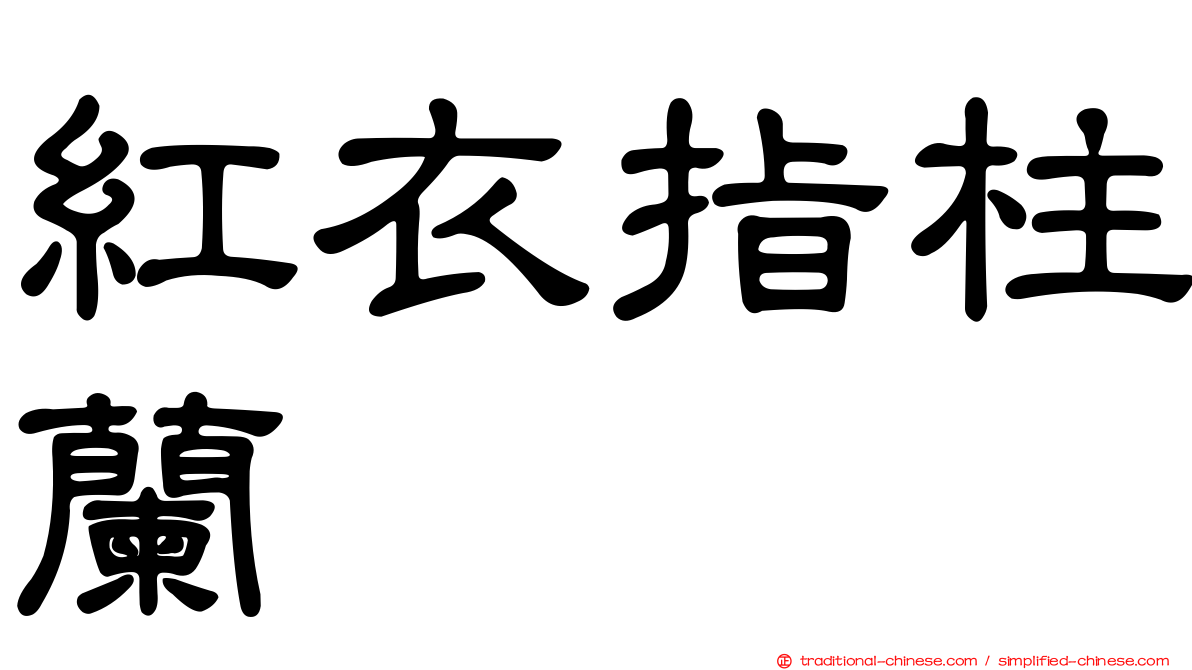 紅衣指柱蘭