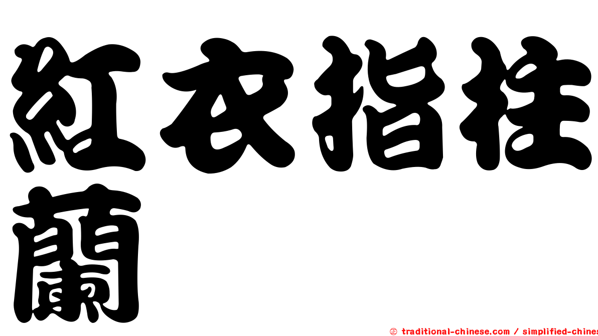 紅衣指柱蘭