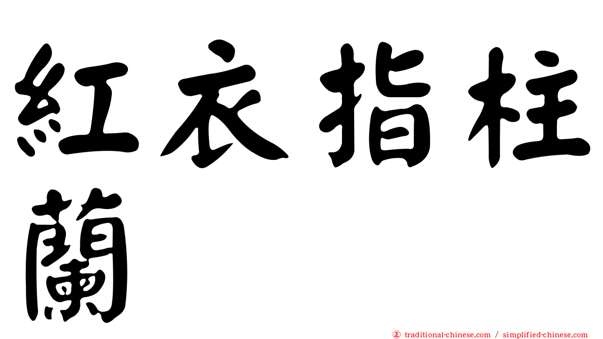 紅衣指柱蘭