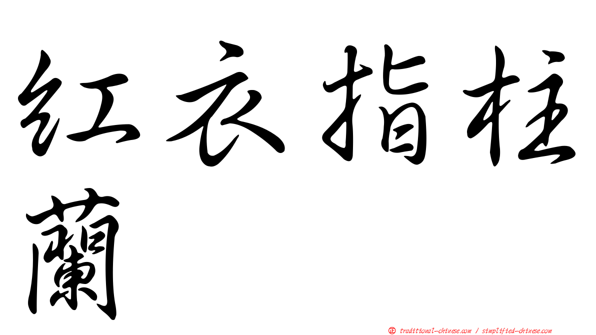 紅衣指柱蘭