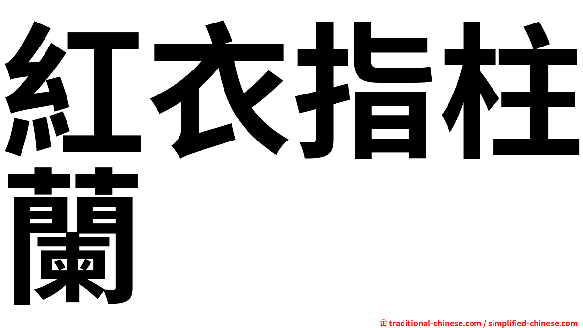 紅衣指柱蘭