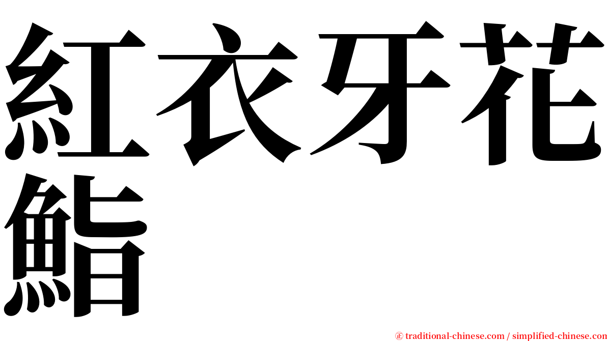 紅衣牙花鮨 serif font