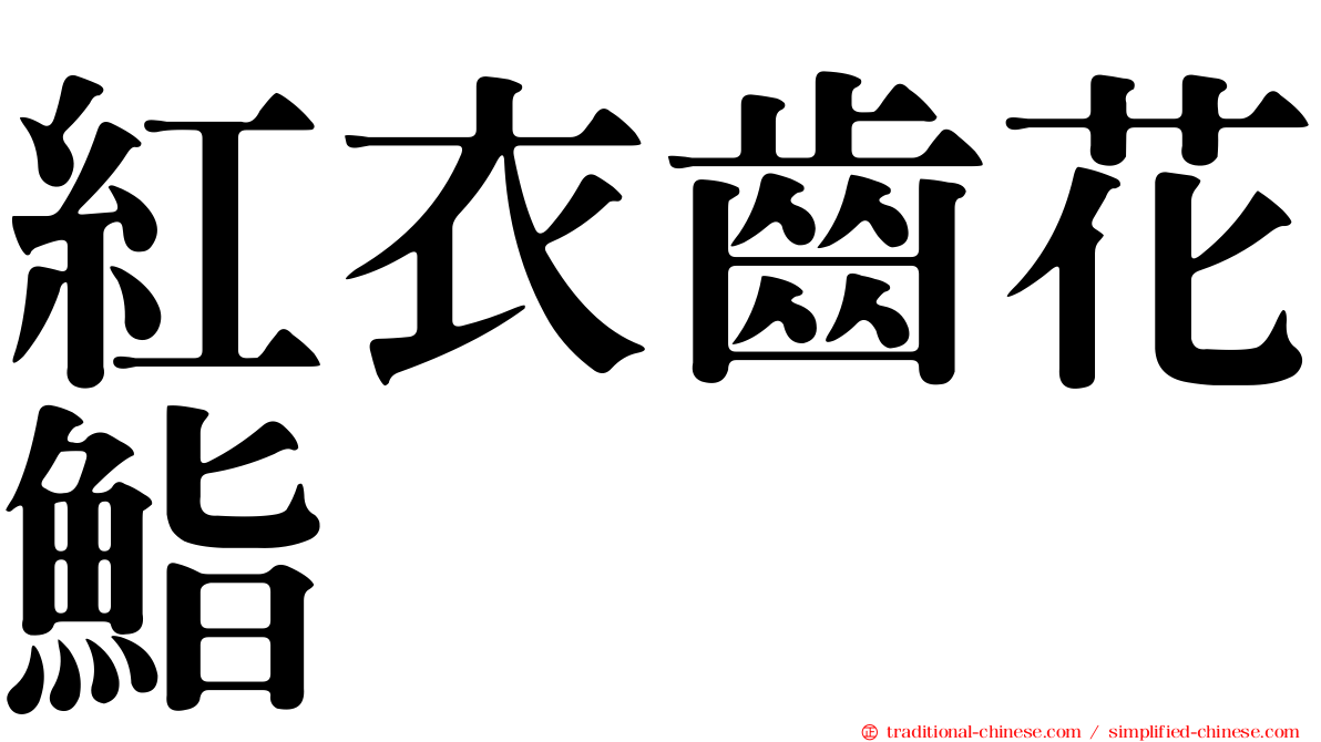 紅衣齒花鮨