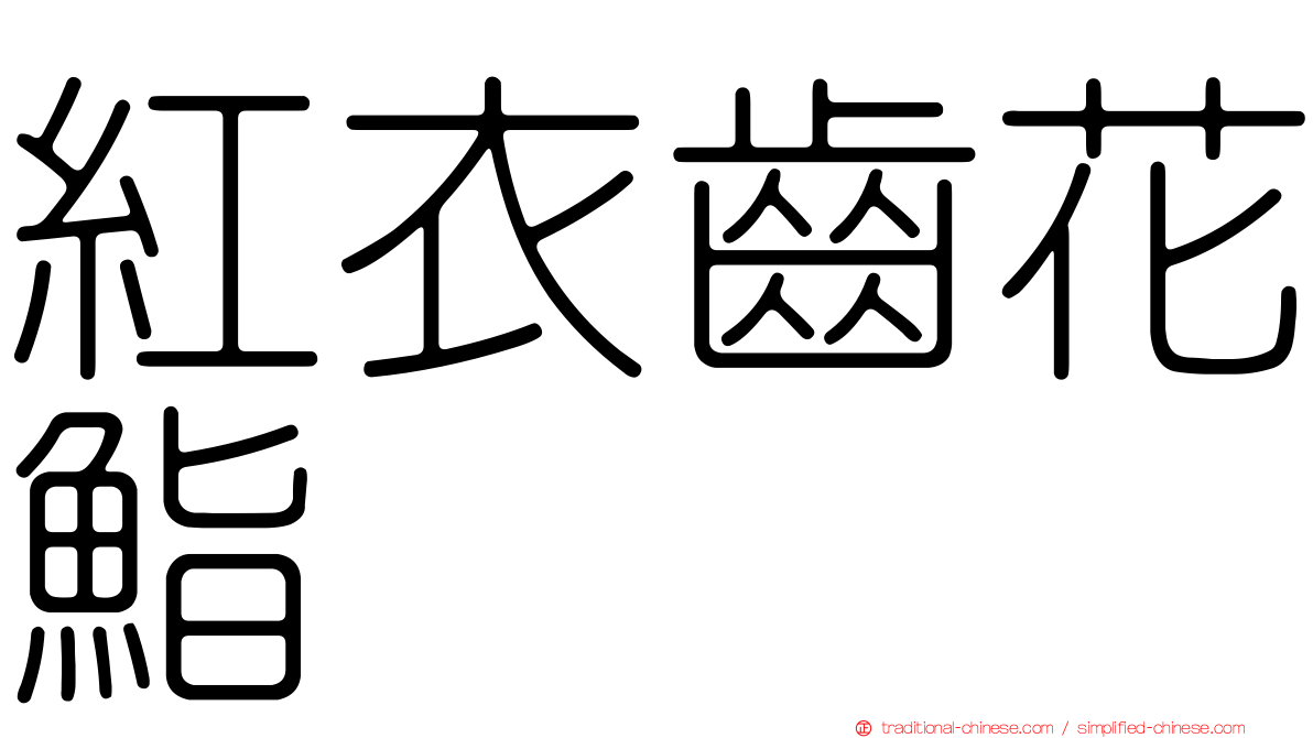 紅衣齒花鮨