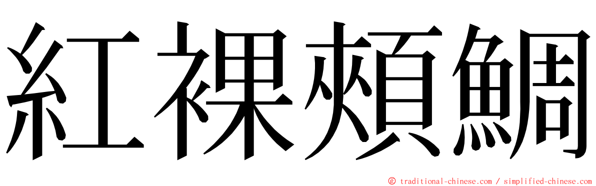 紅裸頰鯛 ming font