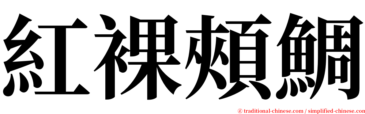 紅裸頰鯛 serif font