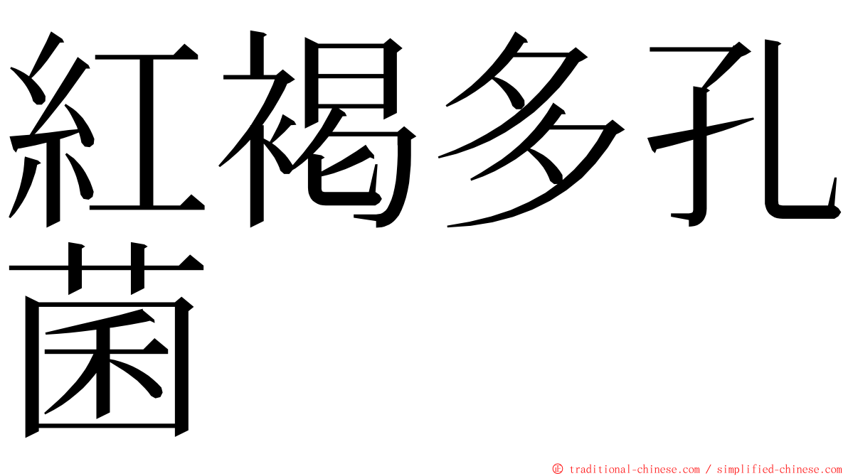 紅褐多孔菌 ming font