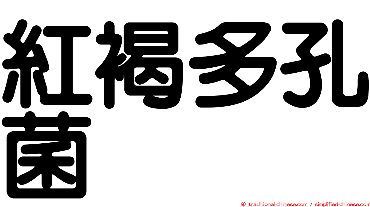 紅褐多孔菌