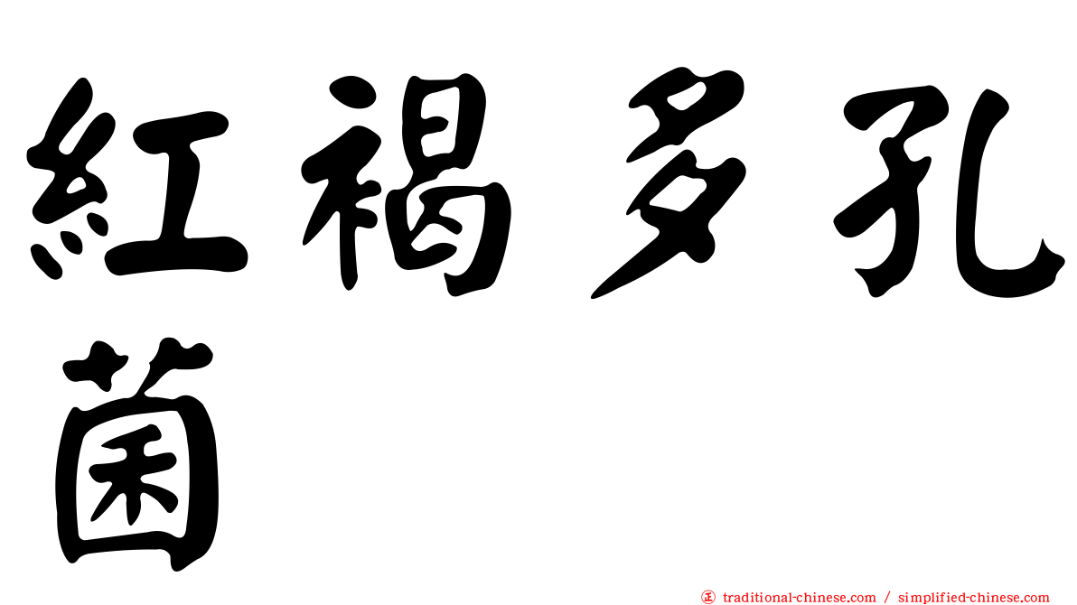 紅褐多孔菌