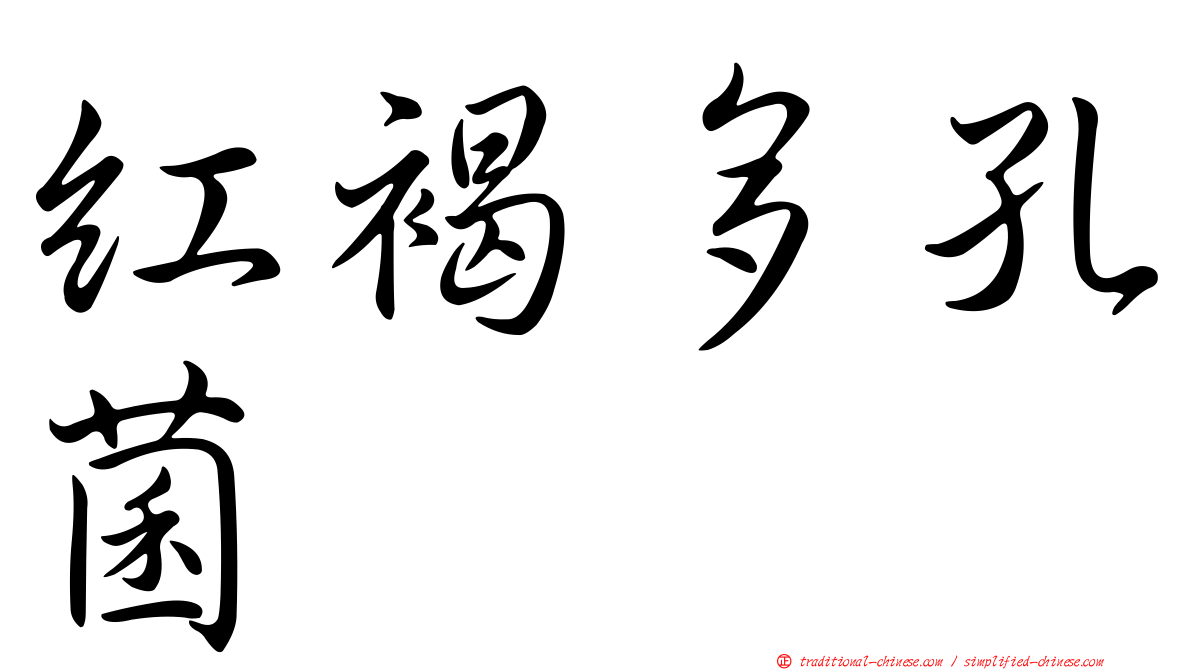紅褐多孔菌