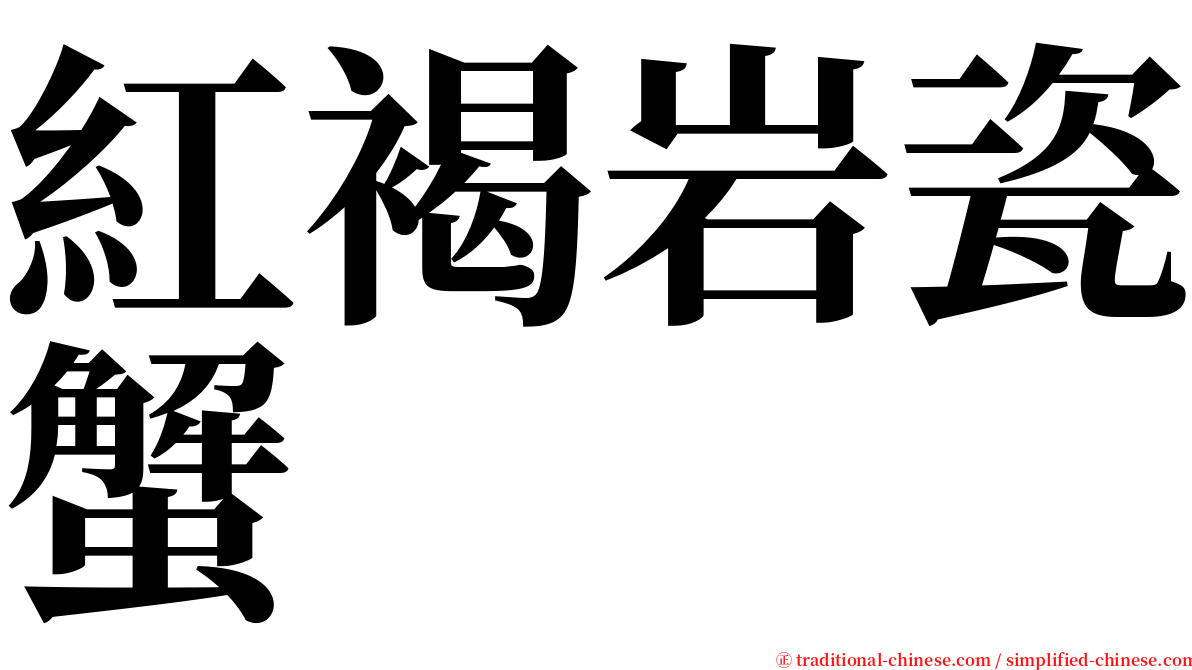 紅褐岩瓷蟹 serif font
